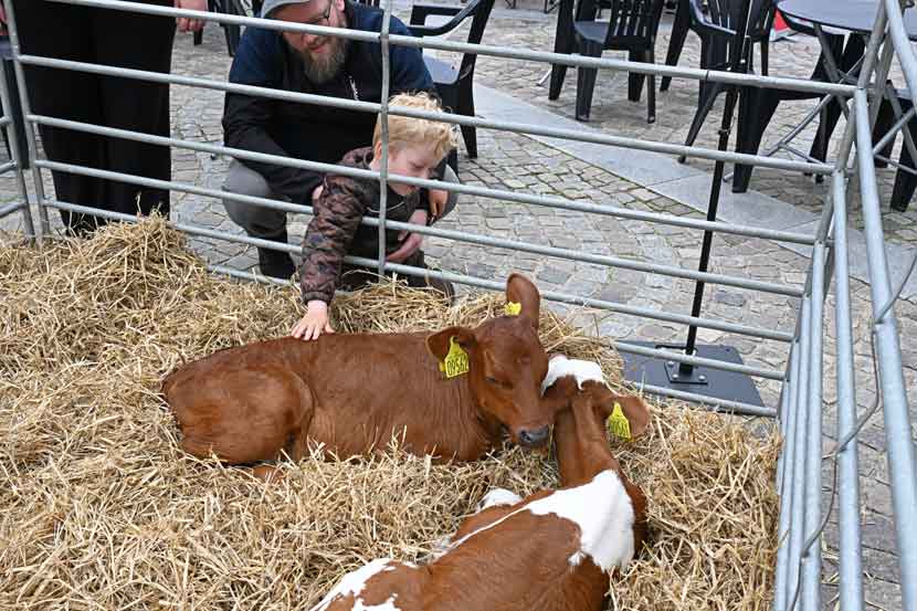 landbruget i byen 26 03
