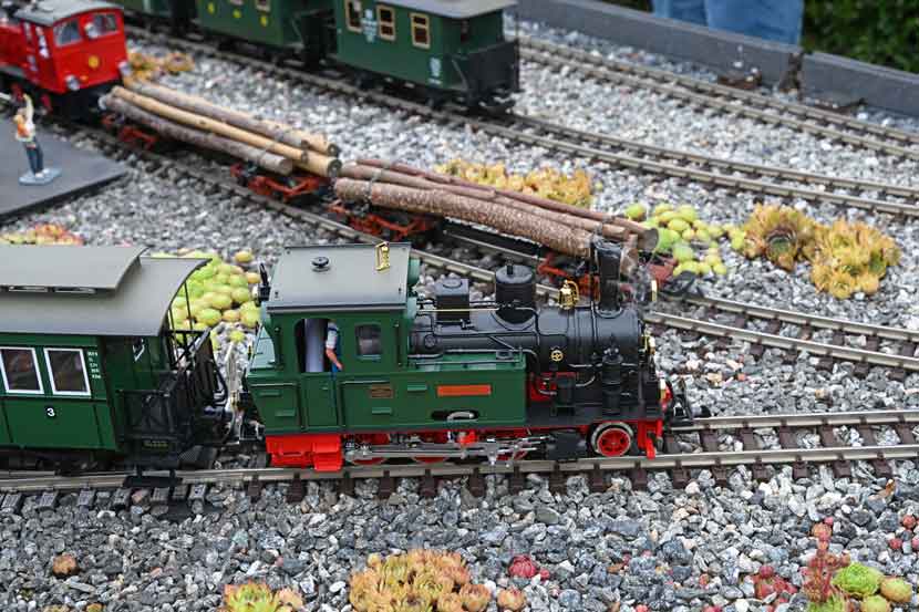 modeltog havebane 26 05