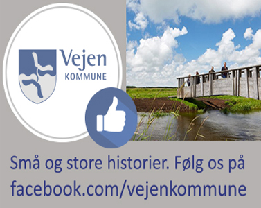 Vejen Kommune - bund