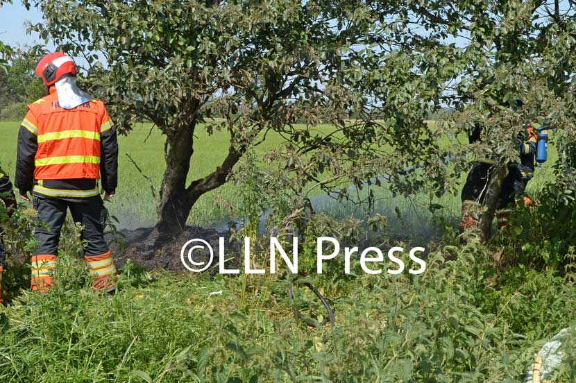 brand staushedevej 5