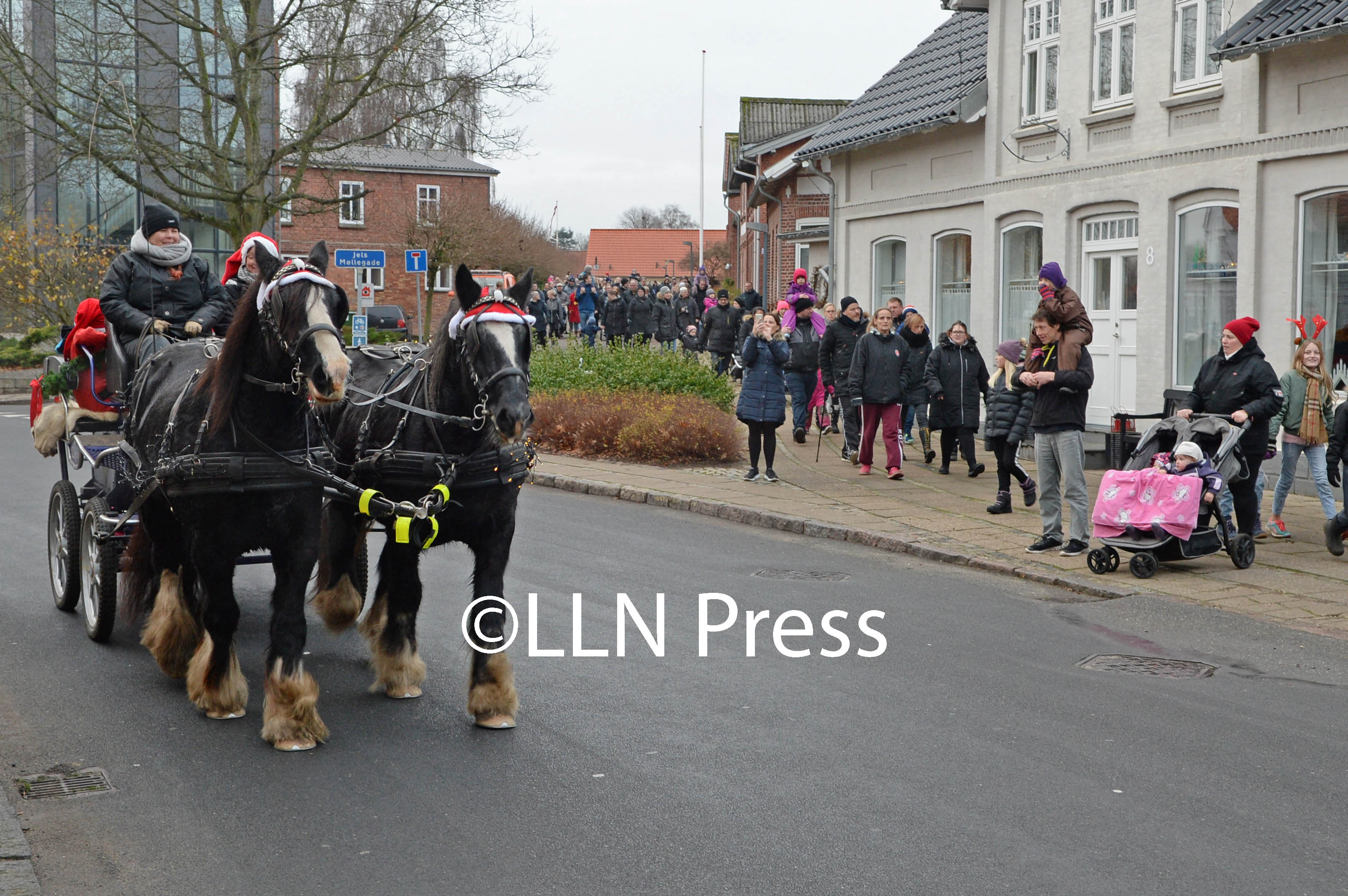 jul jels 15