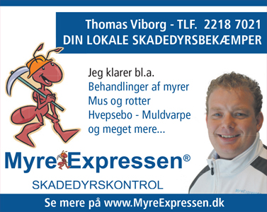 Myreekspressen