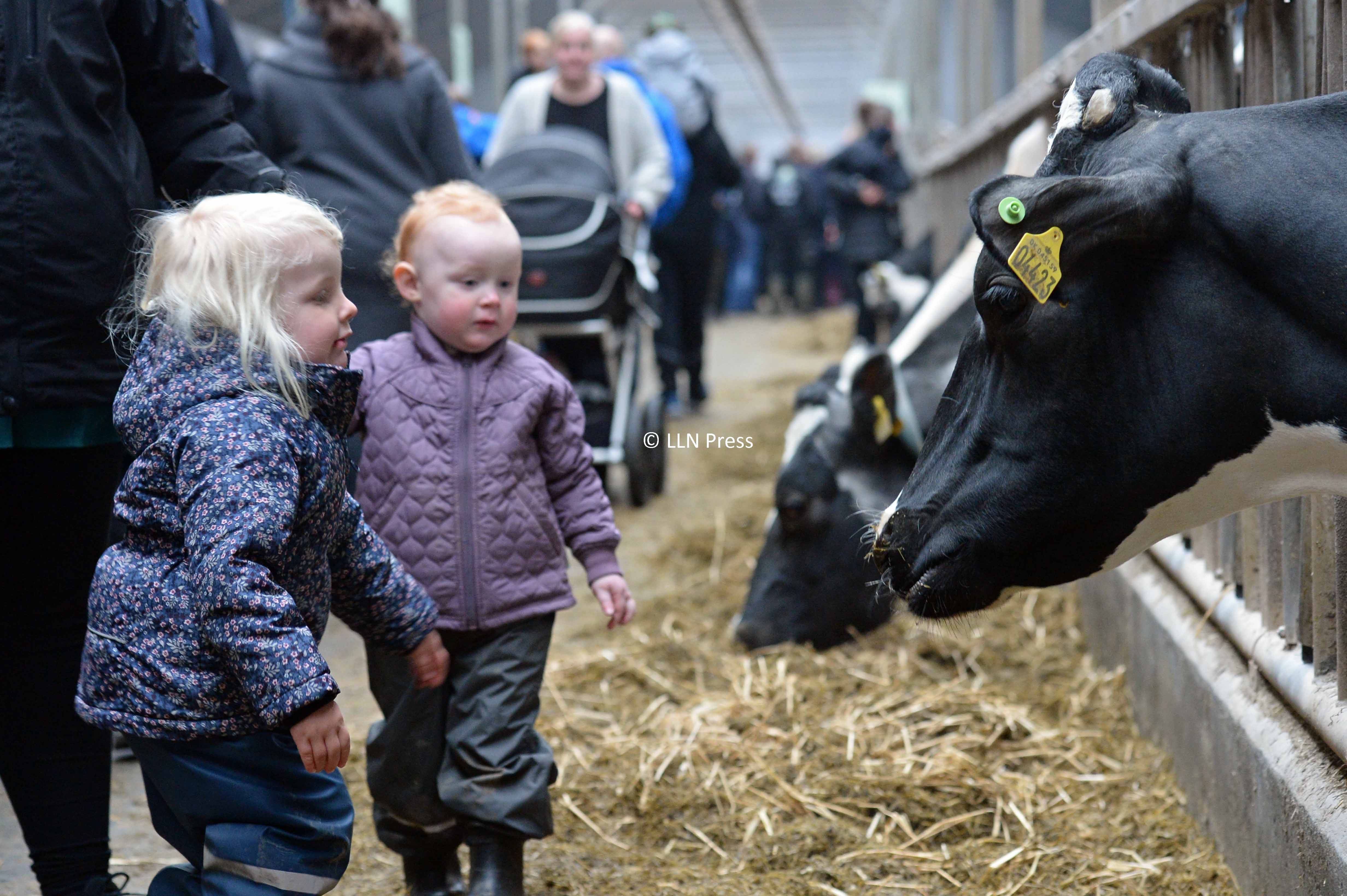 økodag10