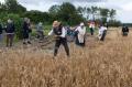 Så skal der høstes