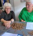 Indsamling slog rekord